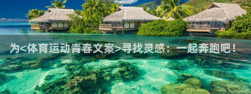 米兰体育网页版：为<体育运动青春文案>寻找灵感：一起奔跑吧！