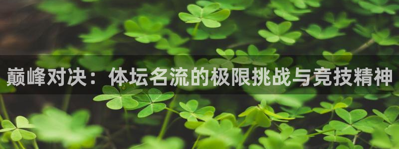米兰体育下载官网最新版：巅峰对决：体坛名流的极限挑战与竞技精神