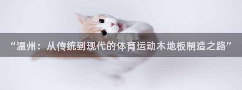 米兰体育中心：“温州：从传统到现代的体育运动木地板制造之路”