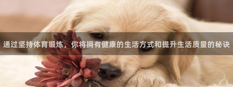 米兰体育报：通过坚持体育锻炼，你将拥有健康的生活方式和提升生活质量的秘诀